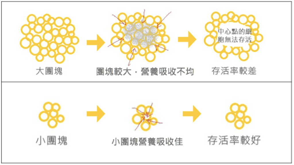 臉部補脂