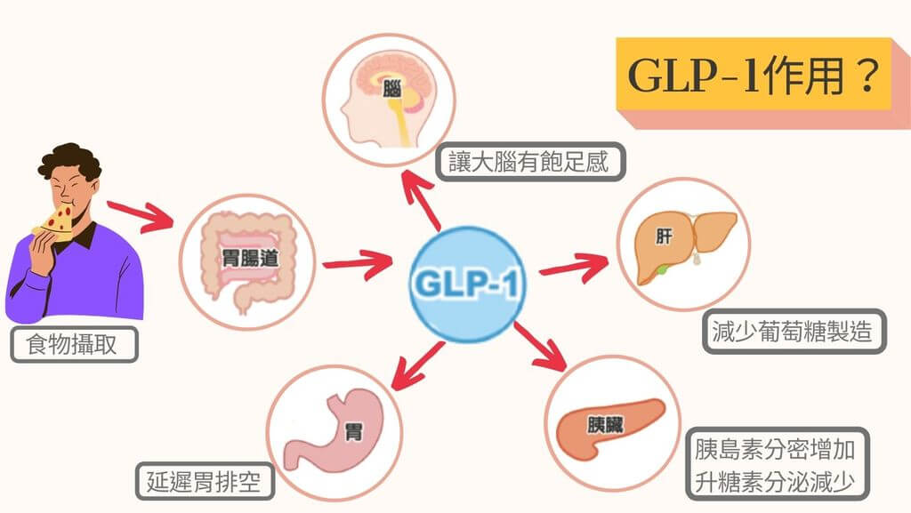 食慾針、減肥筆